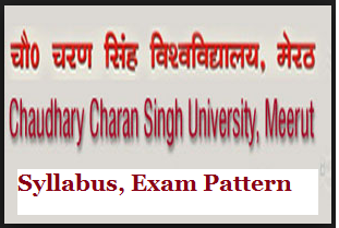 ccs university syllabus