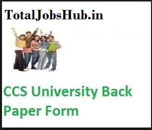 ccs university back paper form