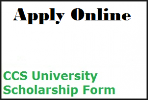 CCS University Scholarship