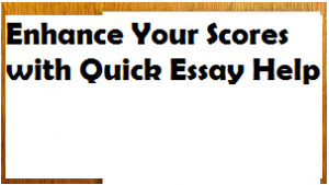 Enhance Your Scores with Quick Essay Help