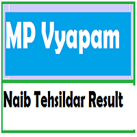 mp nayab tehsildar result