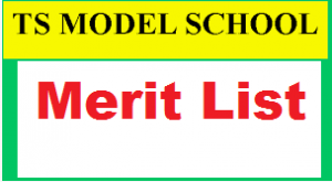 TSMS Model School Result