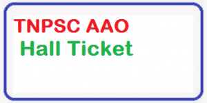 tnpsc aao hall ticket